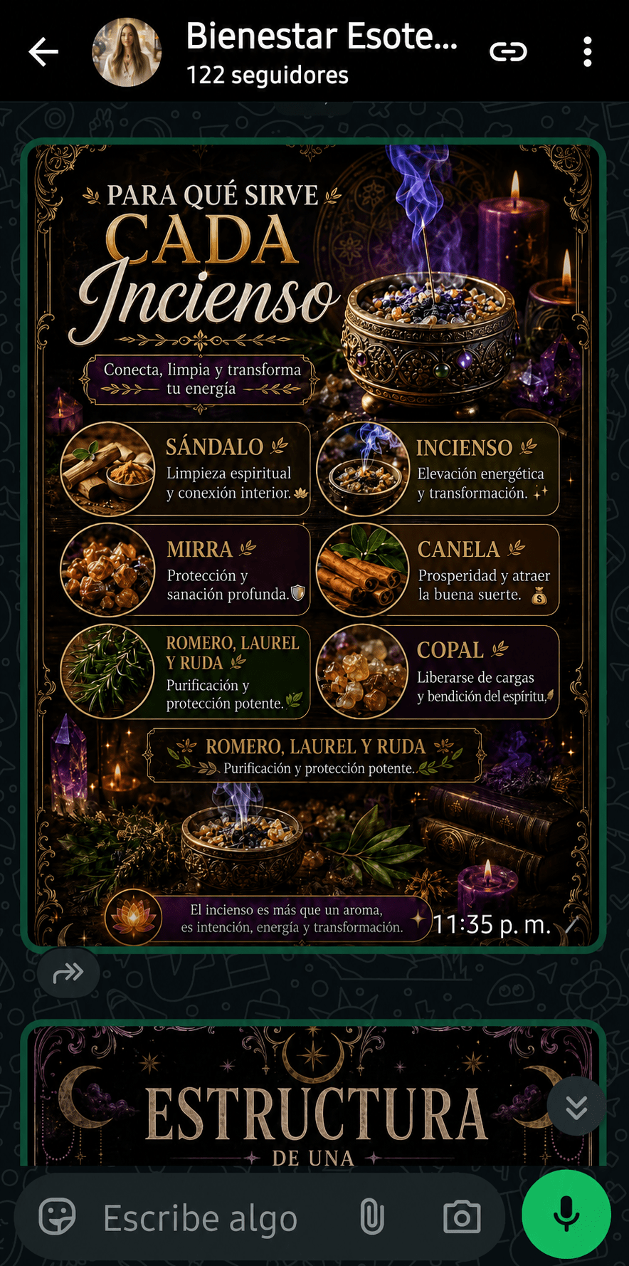 Vista previa del contenido exclusivo publicado en el canal oficial de WhatsApp de Bienestar Esotérico
